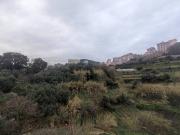 Appartamento in affitto a Genova GE