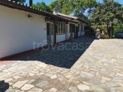 Appartamento in affitto a Grosseto, arredato, giardino...