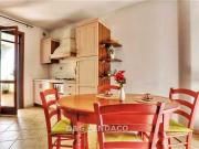 APPARTAMENTO in AFFITTO a GROSSETO SANTA MARIA DI...