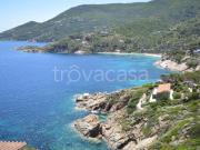 Appartamento in affitto a Isola del Giglio, giardino...