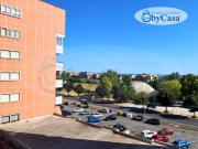 Appartamento in affitto a Ladispoli RM