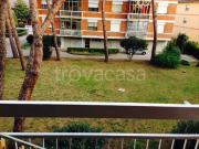 Appartamento in affitto a Latina via Palermo, 35,...