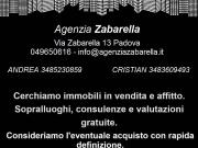 Appartamento in affitto a Limena PD