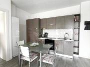 Appartamento in affitto a Lissone, arredato, terrazzo,...