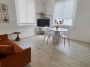 APPARTAMENTO in AFFITTO a LISSONE CENTRO di 2 vani