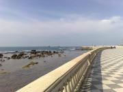 Appartamento in affitto a Livorno LI
