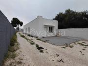 Appartamento in affitto a Manfredonia lungomare Siponto,...