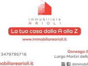 Appartamento in affitto a Mantova MN