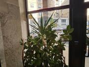 Appartamento in affitto a Mantova piazza 80° Fanteria,... Appartamento in affitto a Mantova piazza 80° Fanteria,...