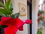 Appartamento in affitto a Maratea PZ