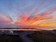 Appartamento in affitto a Marina di Pisa Pisa 50 mq Rif:...