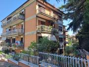 Appartamento in affitto a Marino RM