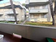 Appartamento in affitto a Massa, arredato, box, terrazzo...