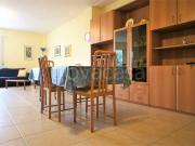 Appartamento in affitto a Massa via Pisa, arredato,...