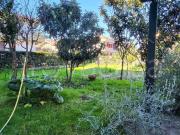 Appartamento in affitto a Massa via Pontremoli,...