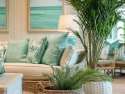 Appartamento in affitto a Mercato San Severino corso...