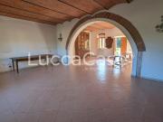 Appartamento in affitto a Migliarino Vecchiano