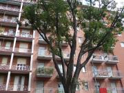 Appartamento in affitto a Milano, Barona
