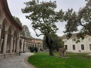 Appartamento in affitto a Milano MI