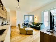 Appartamento in affitto a Milano MI