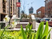 Appartamento in affitto a Milano MI