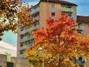 Appartamento in affitto a Milano MI