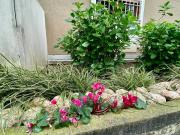 Appartamento in affitto a Milano via Capo Palinuro,...