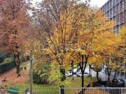 Appartamento in affitto a Milano via Carlo Valvassori...