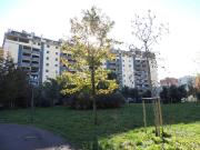 Appartamento in affitto a Milano via Pietro Colletta,...