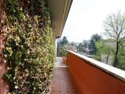 Appartamento in affitto a Milano via Tullo Morgagni, 8,...