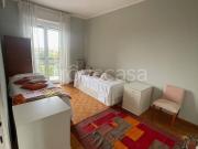 Appartamento in affitto a Milano via Val di Sole, 10,...