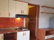 Appartamento in affitto a Modena via Ippolito Nievo, 89,...