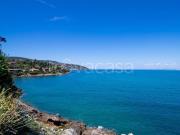 Appartamento in affitto a Monte Argentario località...