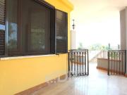 Appartamento in affitto a Monterotondo strada...