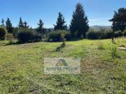 Appartamento in affitto a Montespertoli, arredato,...