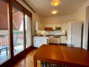 Appartamento in affitto a Monza MB