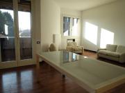 Appartamento in affitto a Monza MB