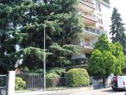 Appartamento in affitto a Monza MB