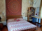 Appartamento in affitto a Monza MB