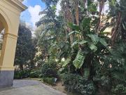 Appartamento in affitto a Napoli