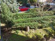 Appartamento in affitto a Napoli NA