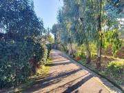 Appartamento in affitto a Napoli NA