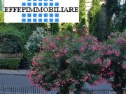 Appartamento in affitto a Napoli NA