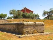 Appartamento in affitto a Nepi VT Appartamento in affitto a Nepi VT