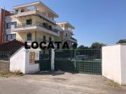 Appartamento in affitto a Nettuno RM