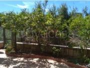 Appartamento in affitto a Nettuno via Lombardia,...