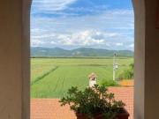 Appartamento in affitto a Nodica Vecchiano 100 mq Rif:...