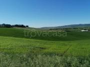 Appartamento in affitto a Orciano Pisano, arredato,...