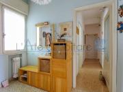 Appartamento in affitto a Padova PD