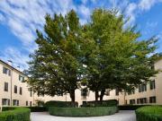 Appartamento in affitto a Padova PD